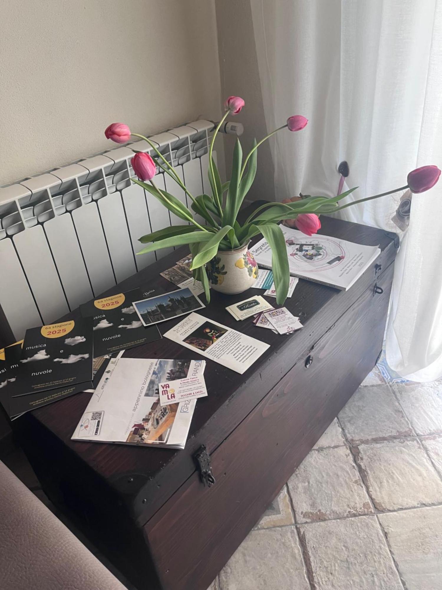 Camugnano B&B Camelia מראה חיצוני תמונה
